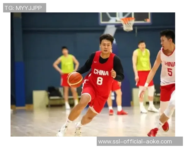 赵睿火热继伟低迷红队两大控卫发挥冰火两重天